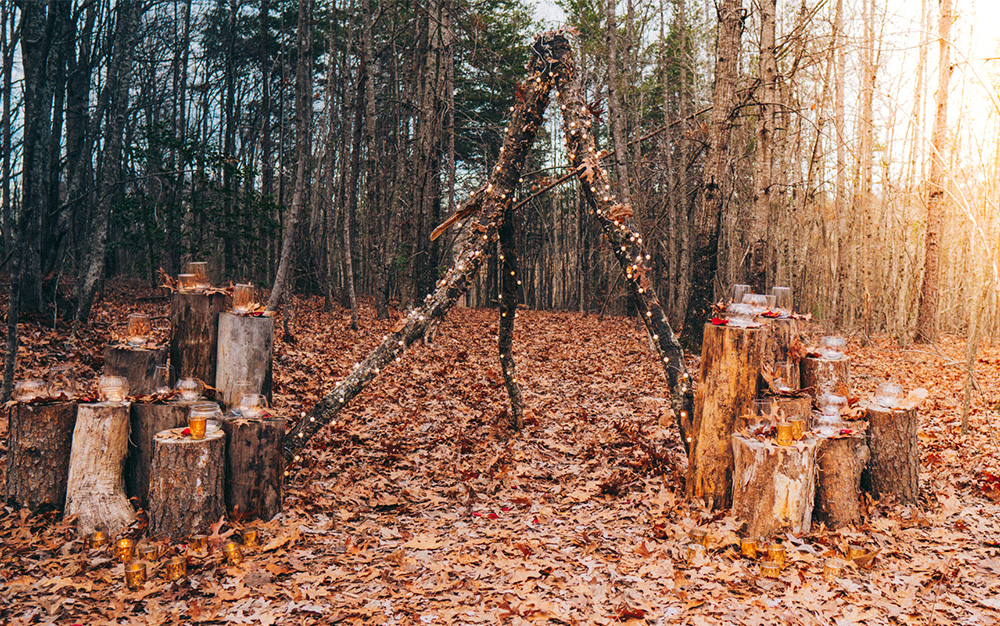 Woodland tree small wedding