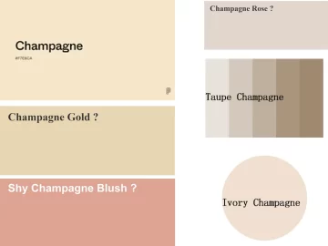 champagne color palette
