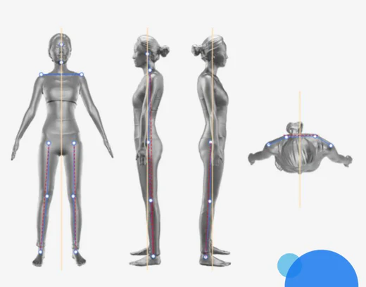 3d body scanner data