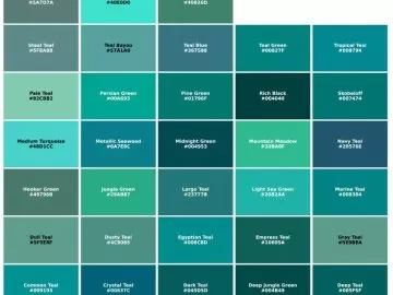 popular teal color palette