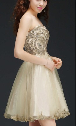 Short champagne tulle prom dress with embroidery appliques and sparkling rhinestones KSP535